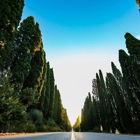 Relais Felciaino B&B Bolgheri Eksteriør bilde