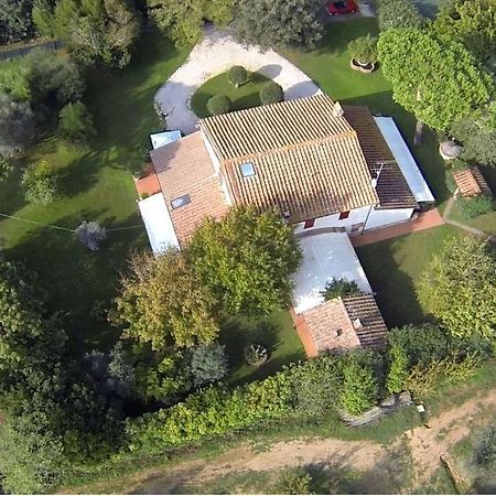 Relais Felciaino B&B Bolgheri Rom bilde