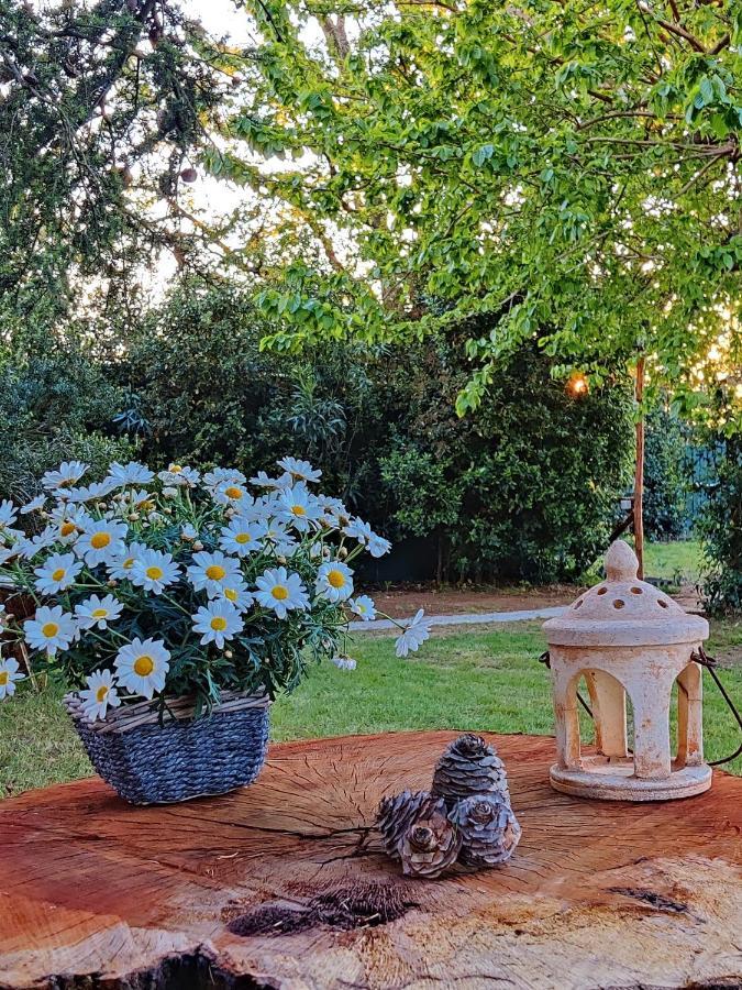 Relais Felciaino B&B Bolgheri Eksteriør bilde