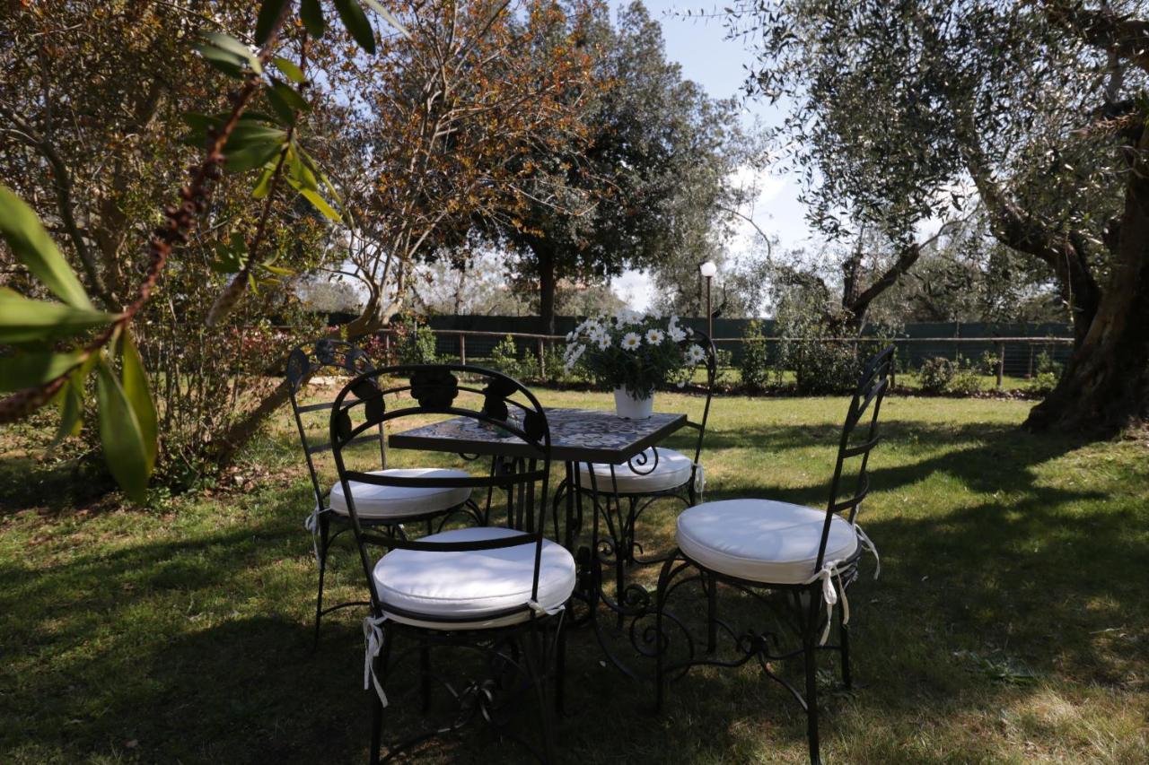 Relais Felciaino B&B Bolgheri Eksteriør bilde