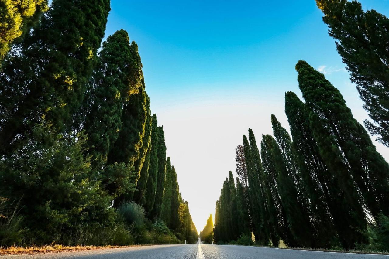 Relais Felciaino B&B Bolgheri Eksteriør bilde