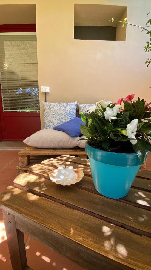 Relais Felciaino B&B Bolgheri Eksteriør bilde