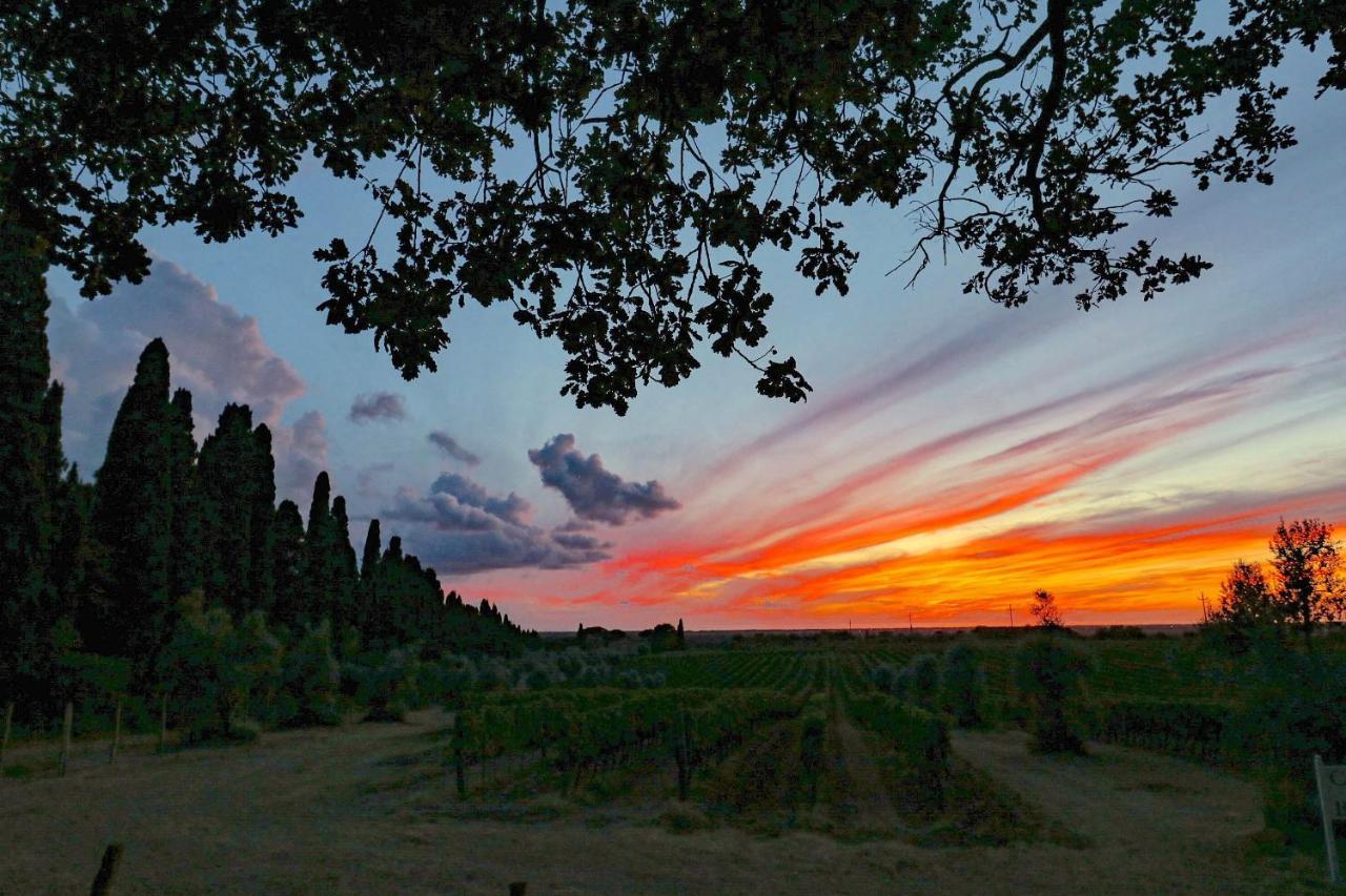 Relais Felciaino B&B Bolgheri Eksteriør bilde
